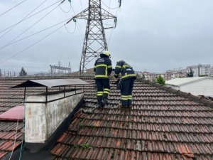baca temizliği ordu