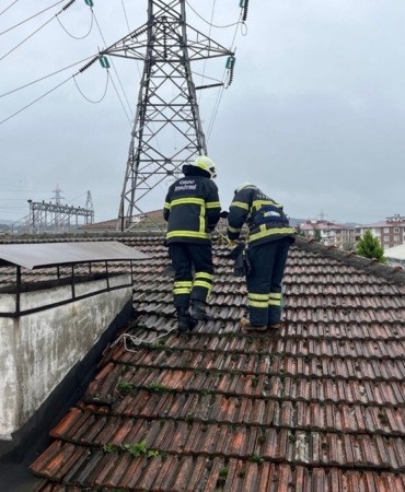 baca temizliği ordu
