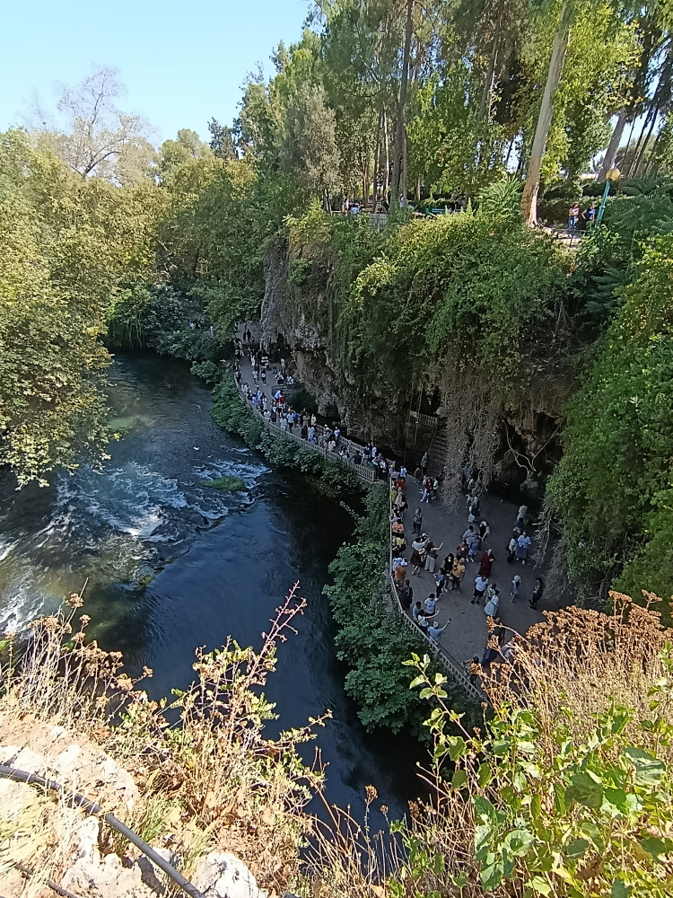 img 20250812 153126 1755520311 250